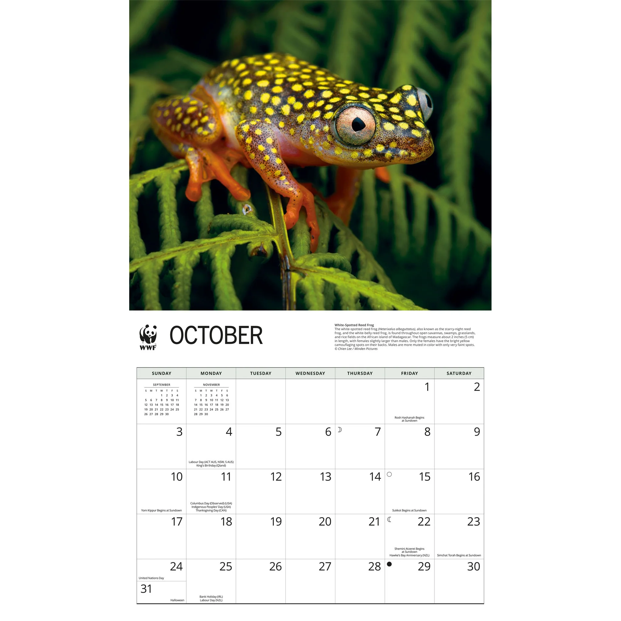 World Wildlife Fund Frogs 2027 Wall Calendar - Image 5
