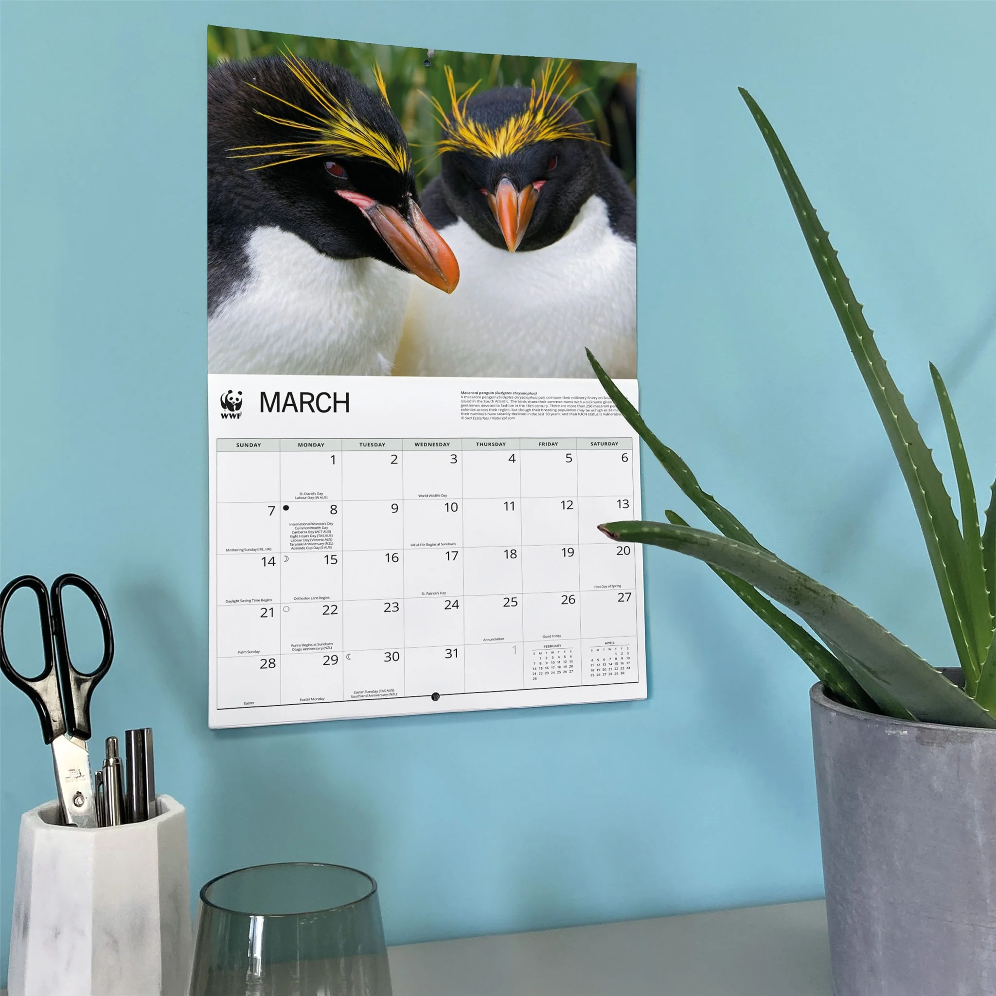 World Wildlife Fund Penguins 2027 Wall Calendar - Image 6
