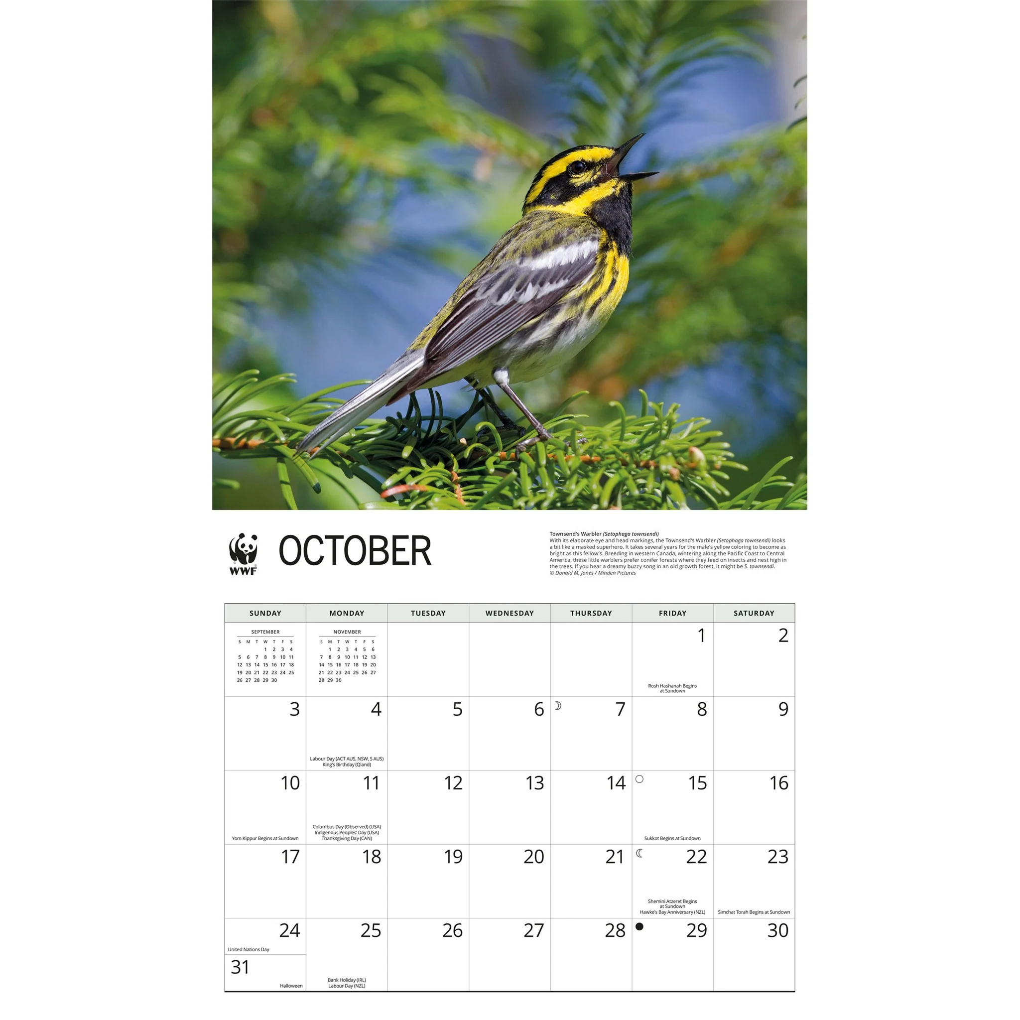 World Wildlife Fund Songbirds 2027 Wall Calendar - Image 5