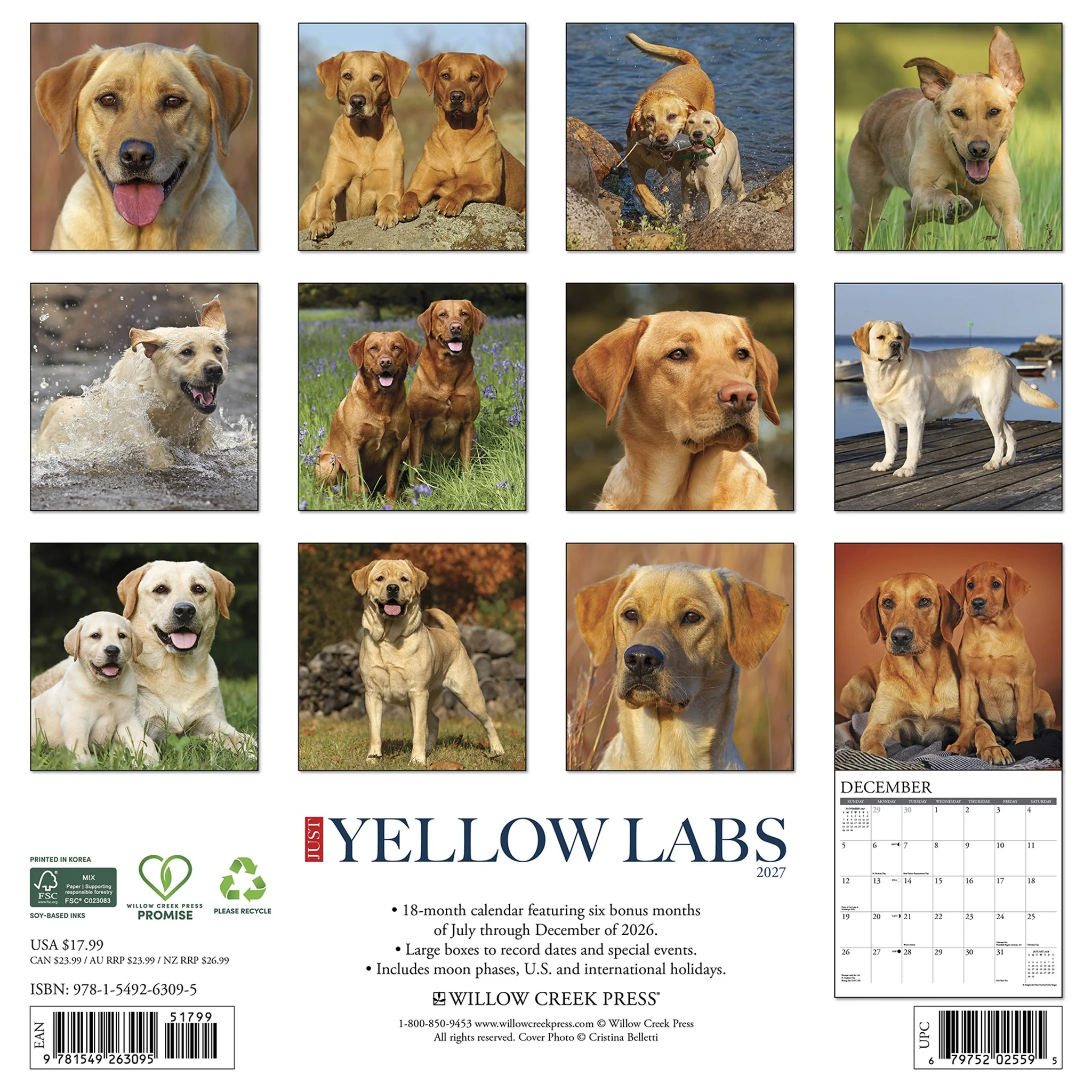 Yellow Labs 2027 Wall Calendar - Image 2