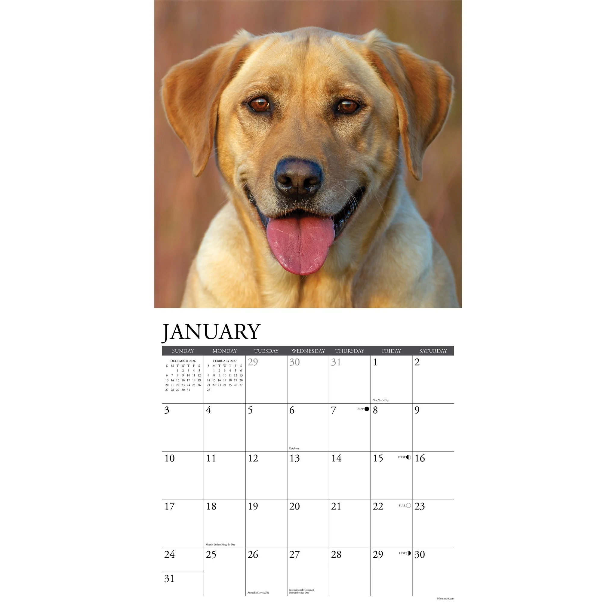 Yellow Labs 2027 Wall Calendar - Image 3