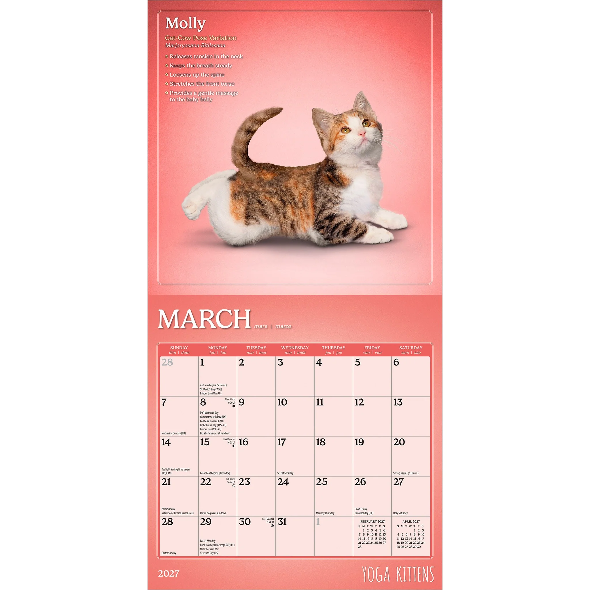 Yoga Kittens 2027 Mini Calendar - Image 3