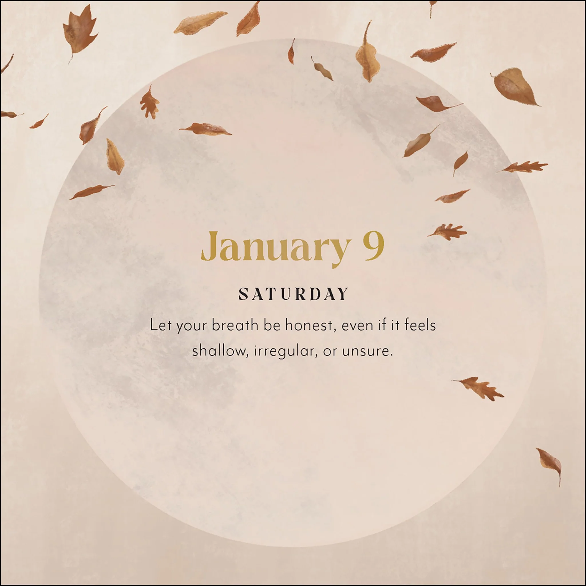 Yoga Magic 2027 Box Calendar - Image 12