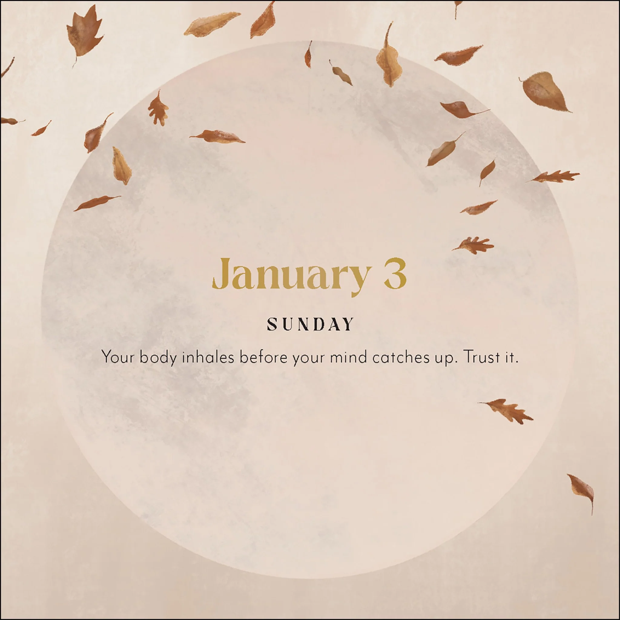 Yoga Magic 2027 Box Calendar - Image 6