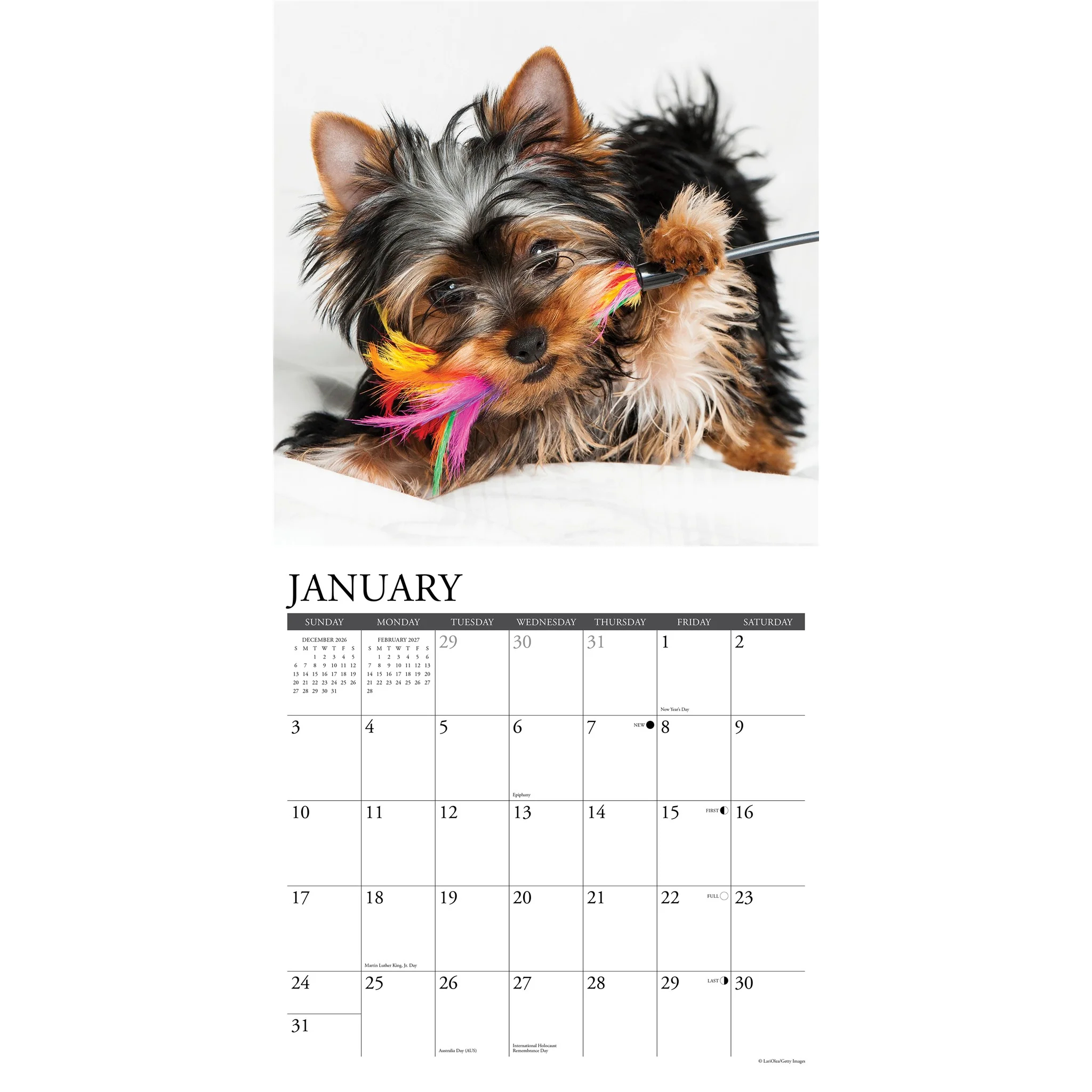 Yorkie Puppies 2027 Wall Calendar - Image 3